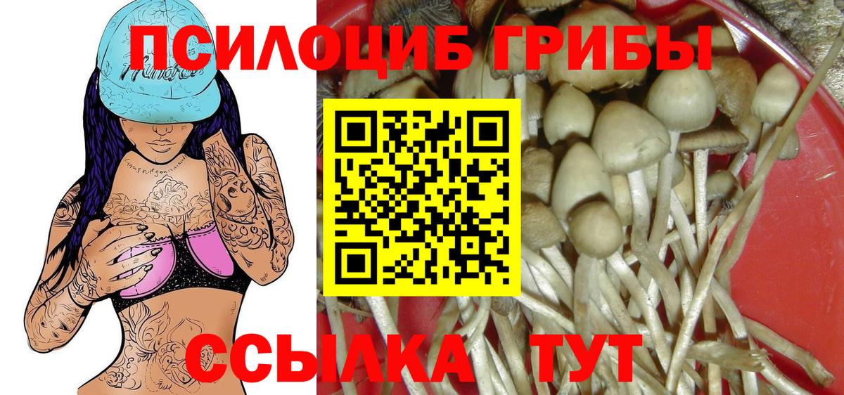 Галлюциногенные грибы Psilocybe  Псилоцибиновые грибы Psilocybe  Вход с VPN  Глазов 