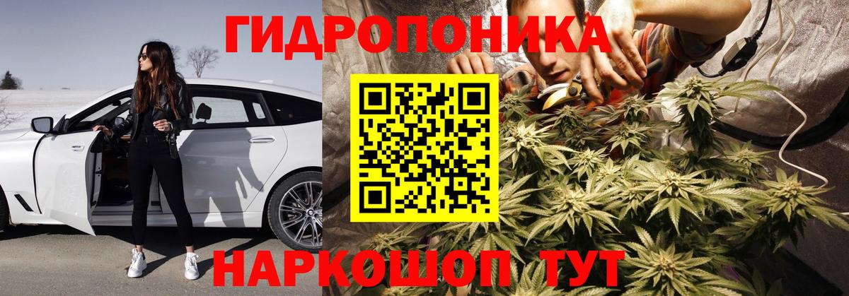 Конопля MAZAR Глазов